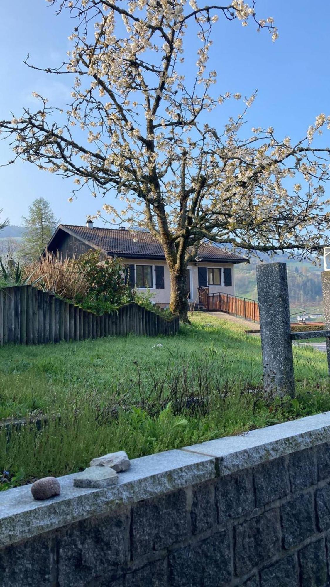 Le Pingu - Spacieux, Calme, Plein Sud - Sauna - 8 Personnes La Bresse